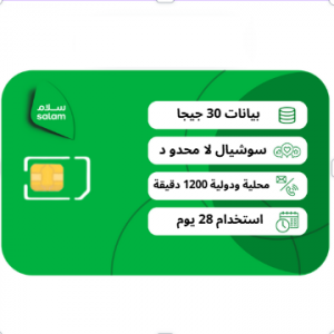سلام فليكس 110 شريحة مسبقة الدفع